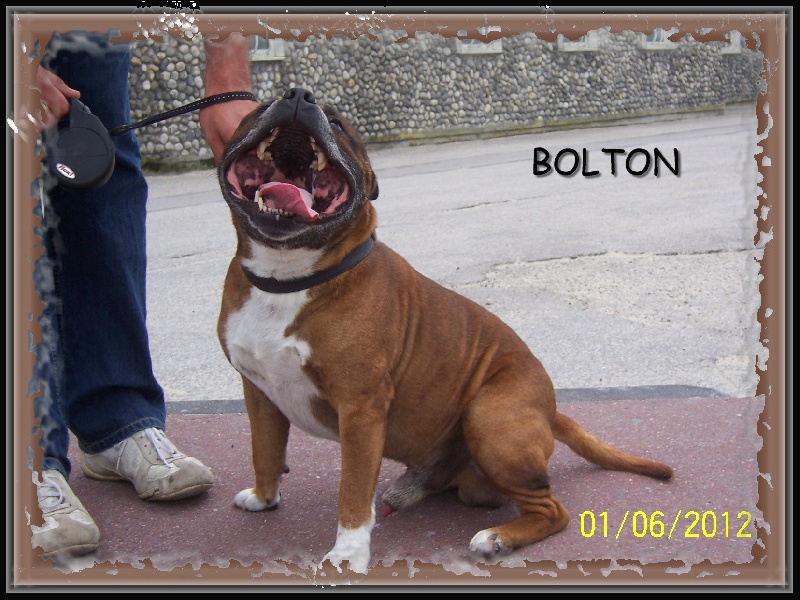 Publication : Staffordland Auteur : Marie Queignec de Staffordland