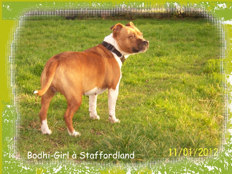 Bodhi-girl de la Lumière de Bregançon