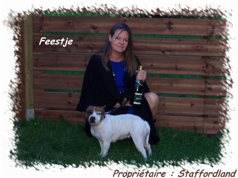 Feestje of Skystaff Starbuck