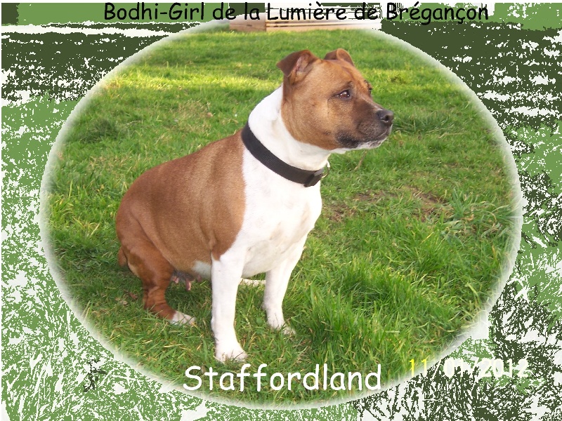 Bodhi-girl de la Lumière de Bregançon