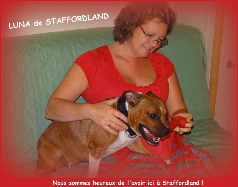 Staffordland Luna
