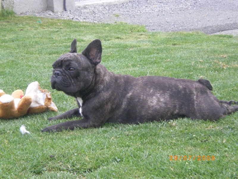 Publication : des jardins d'Elie's