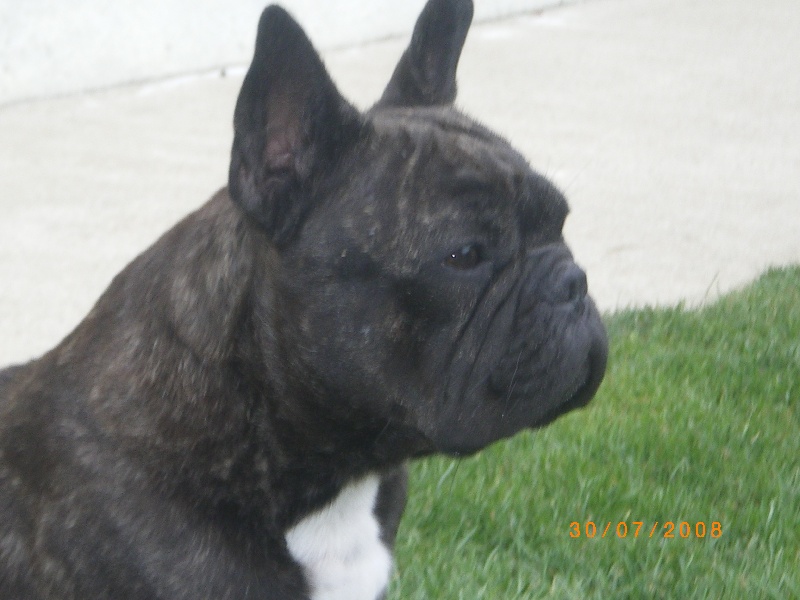 Publication : des jardins d'Elie's