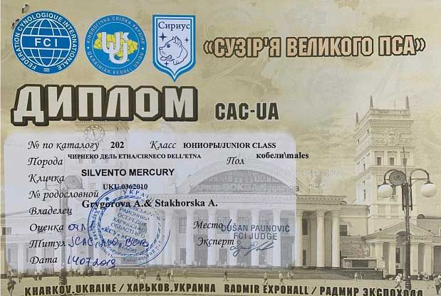 CH. Silvento Mercury - jCAC BOB finished jCH UA