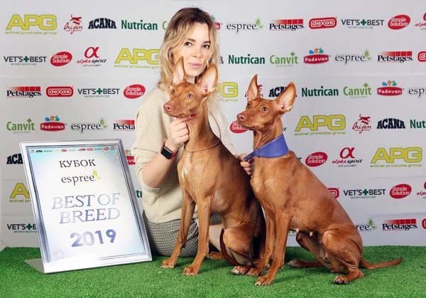 CH. Silvento Medea - jCAC BOB