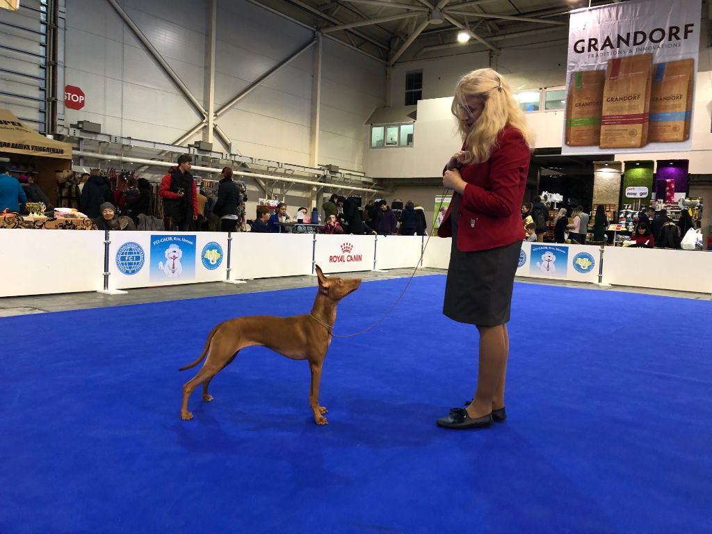 CH. Silvento Medea - Best Puppy