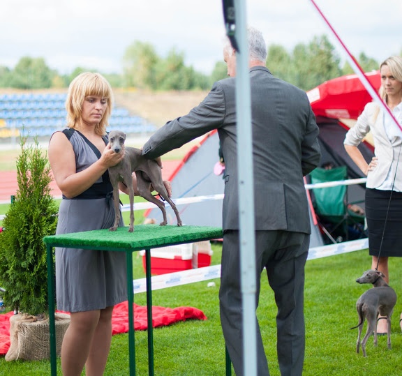 CH. Silvento Diamantine tenera - exc-3