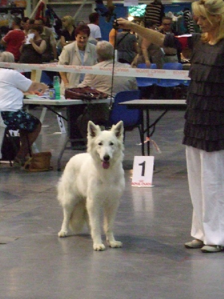Balka du domaine de l'Escaut - 2ème TRES BON