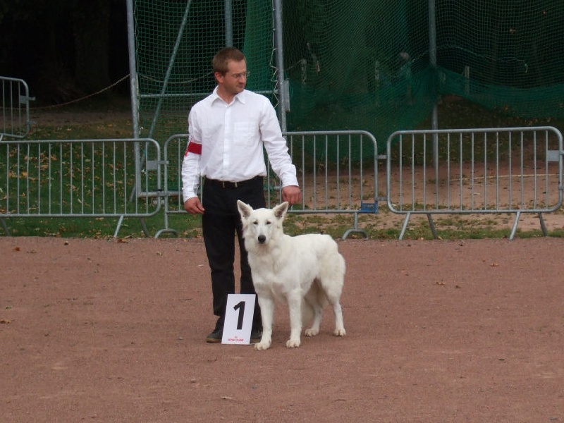 Balka du domaine de l'Escaut - 1er Excellent - CACS - Meilleur de Race