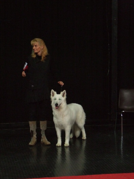 Balka du domaine de l'Escaut - 2ème Excellent - RCACS - RCACIB