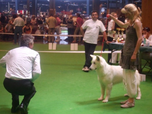 Balka du domaine de l'Escaut - EXCELLENT