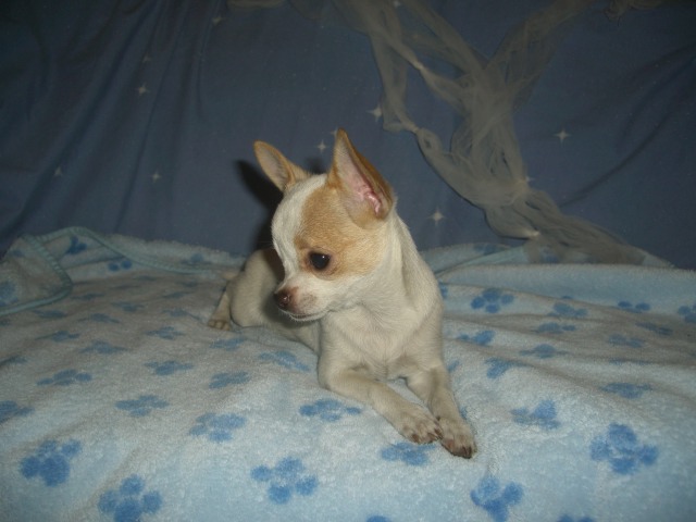 Publication : du clocher d'enfer Auteur : martine godefroy