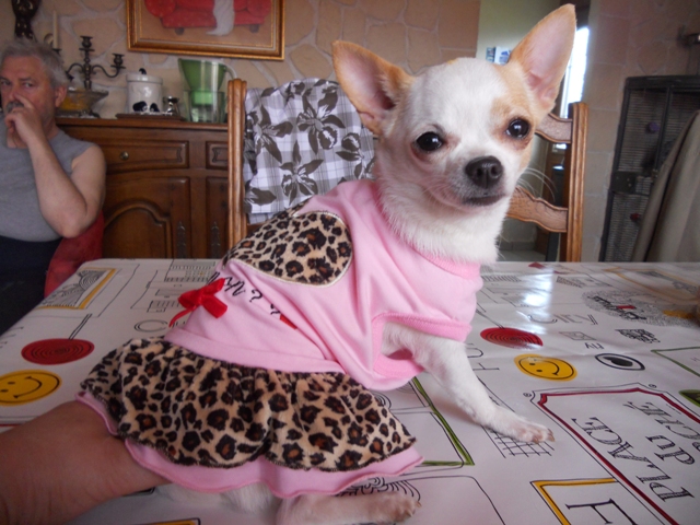 Publication : du clocher d'enfer Auteur : martine godefroy