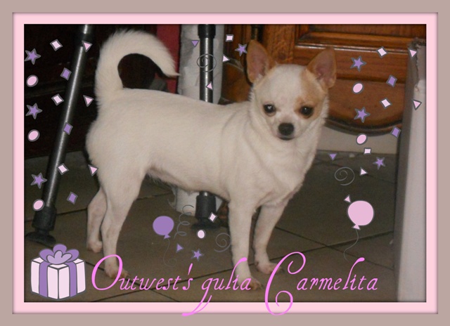 Publication : du clocher d'enfer Auteur : martine godefroy