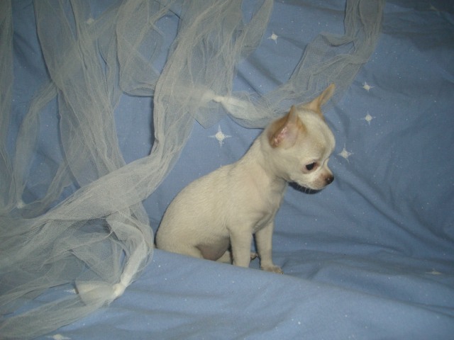 Publication : du clocher d'enfer Auteur : martine godefroy