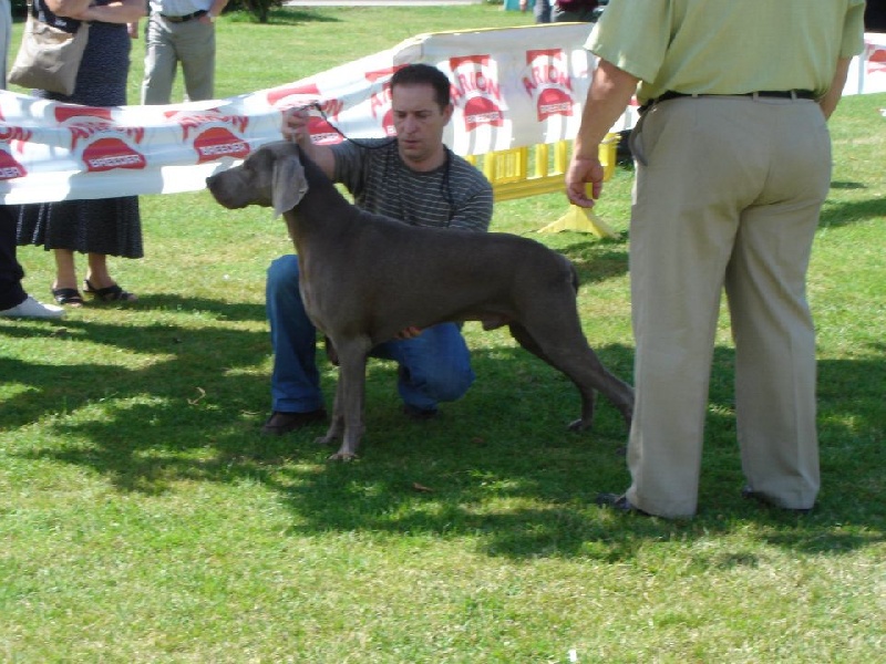 Publication : el Bosque de Lugh