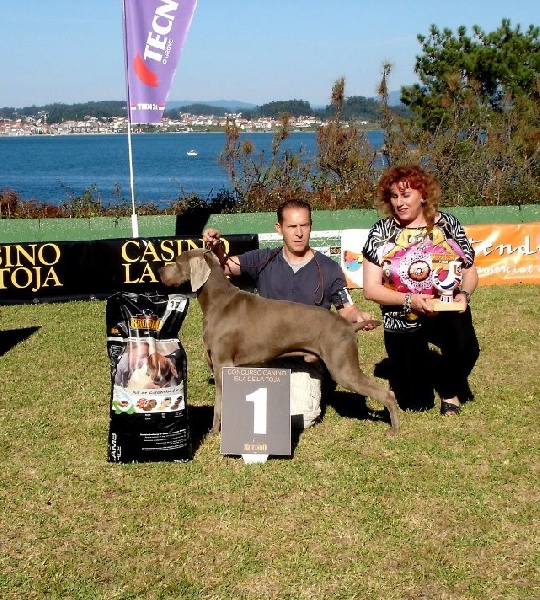 Publication : el Bosque de Lugh