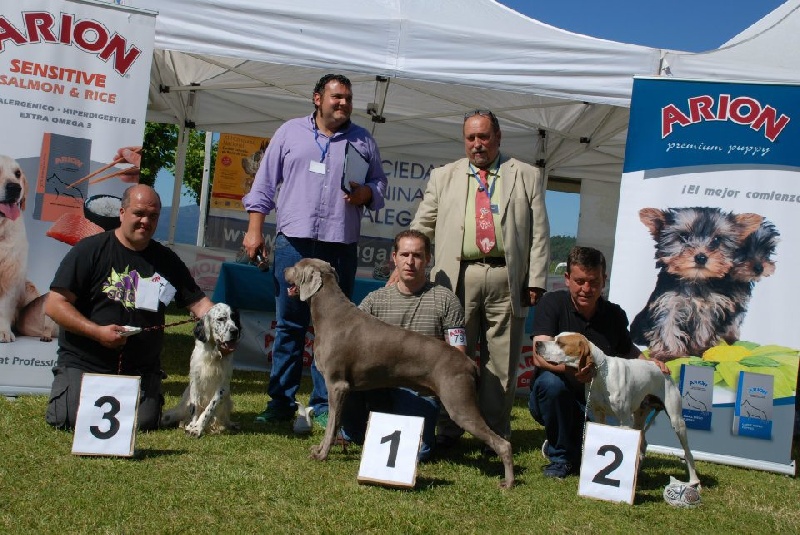 Publication : el Bosque de Lugh