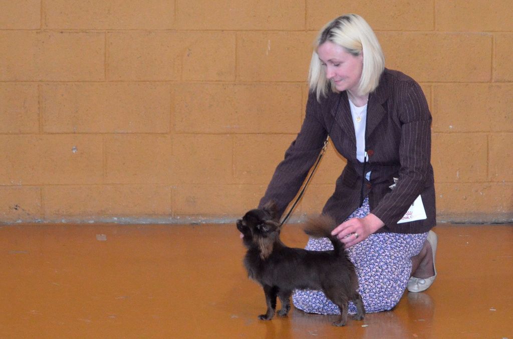 amiroyal Heart breaker - 4ème EXCELLENT