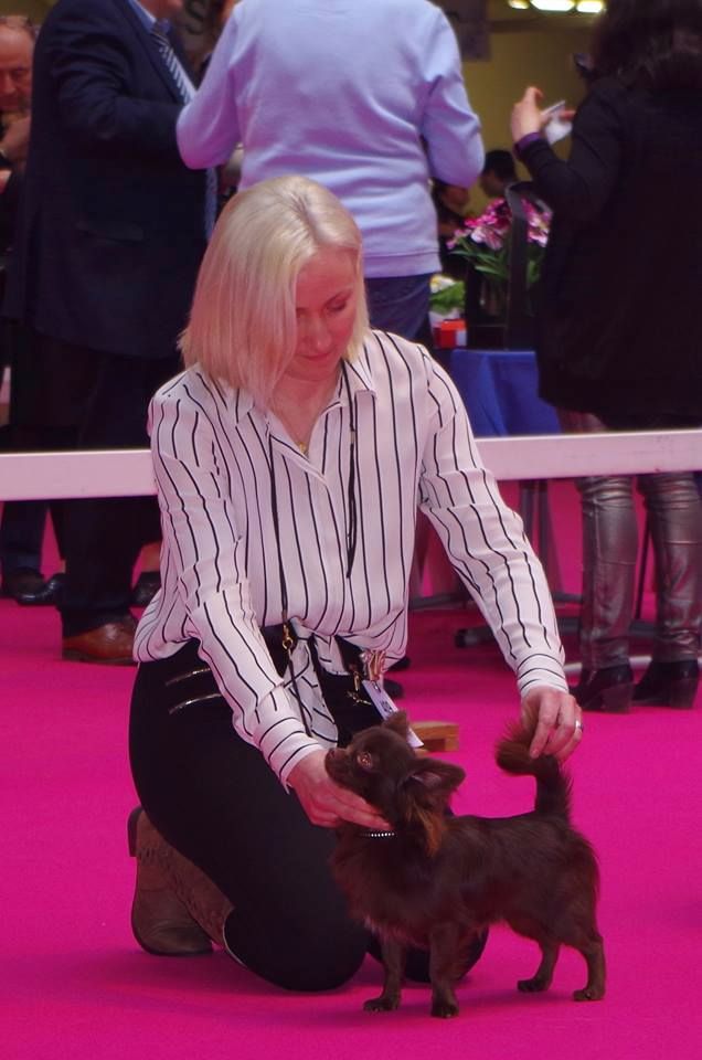 amiroyal Heart breaker - Excellent