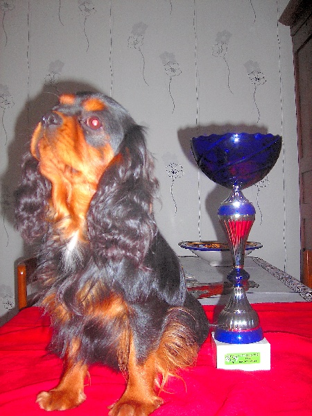 Publication : du Palais des Merveilles Auteur : marine