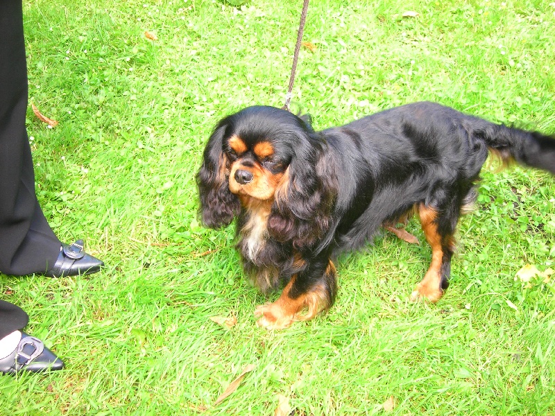 Publication : du Palais des Merveilles Auteur : marine