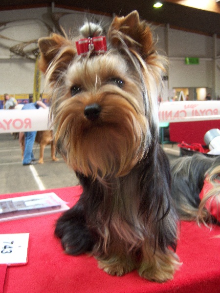 Publication : du Mas des Anges