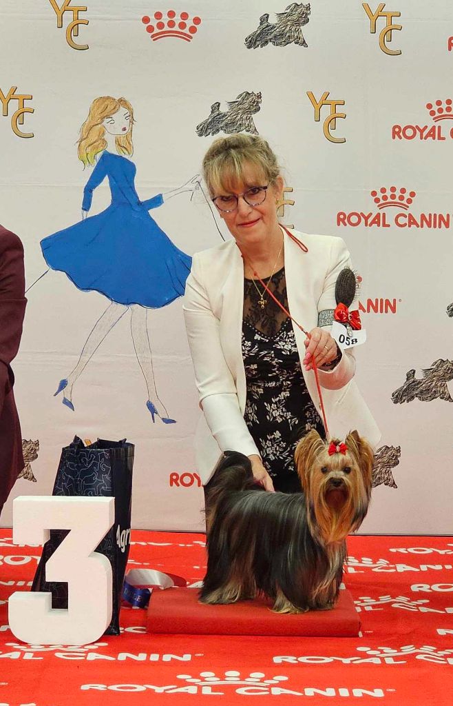 CH. Ultra sexy du Mas des Anges - 3ème Excellent Classe Jeune Femelles