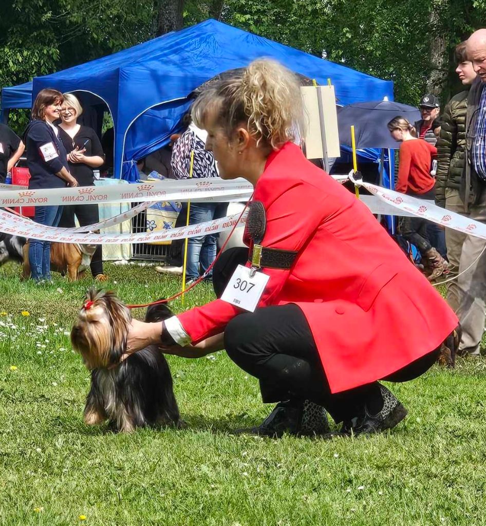 CH. Ultra sexy du Mas des Anges - 1er Très Prometteur , MEILLEUR PUPPY