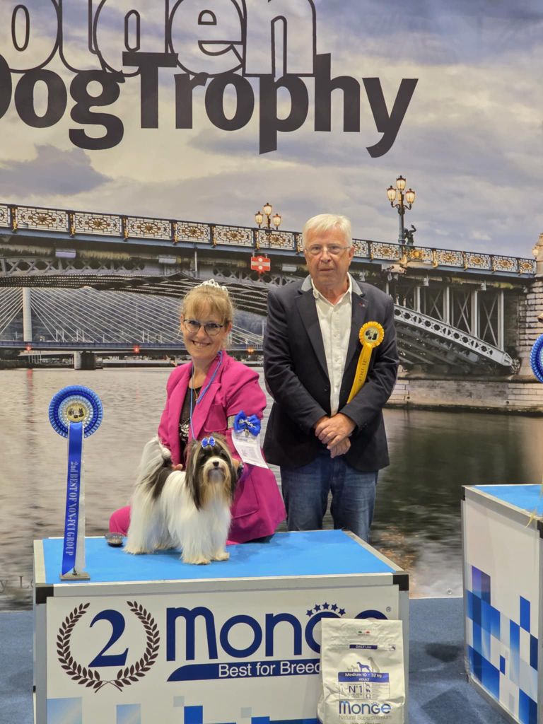 CH. bella helvetica Diamante danzante - 1er Excellent CAC, Best Mâle, Best Of Breed, 2eme BOG 11