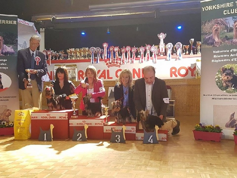 My secret flower du Mas des Anges - 3eme très prometteur classe Puppy