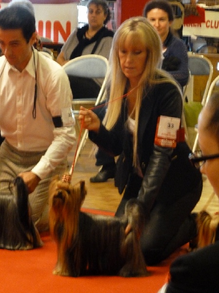 Ginkgo du Mas des Anges - Très bon