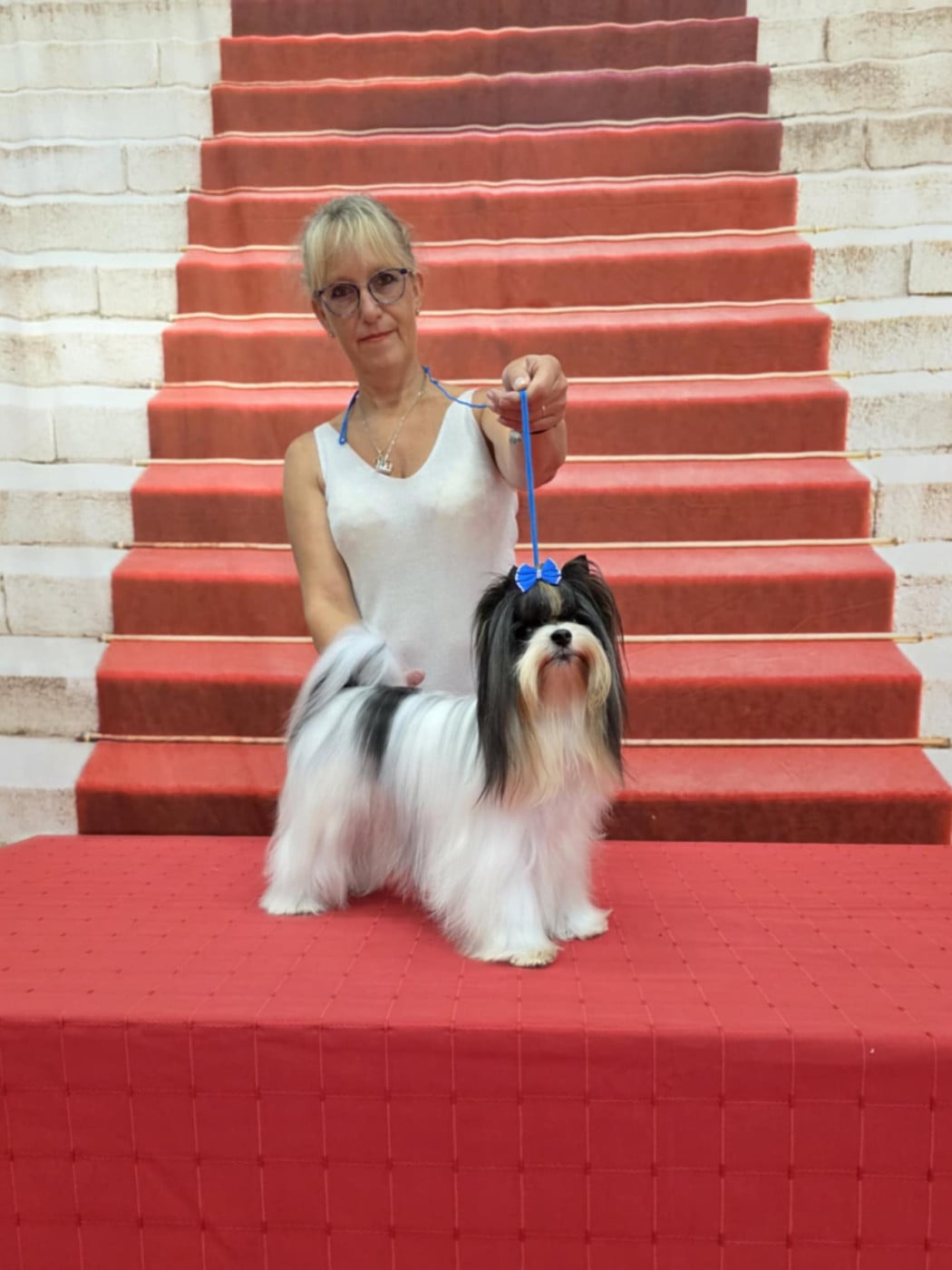 CH. bella helvetica Diamante danzante - 1er Excellent CAC