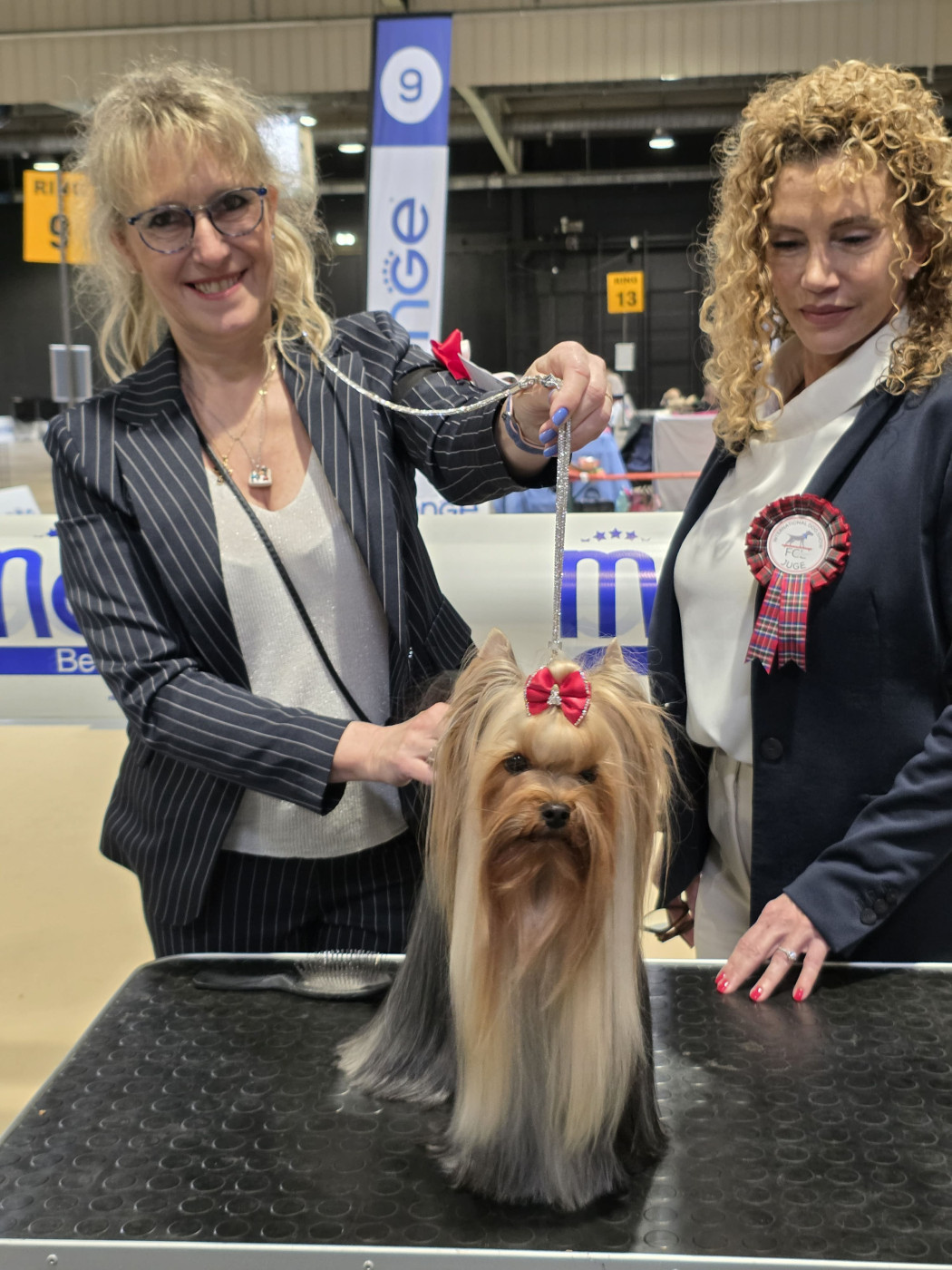 CH. Ultra karma girl du Mas des Anges - 2eme Excellent , RCACL, RCACIB