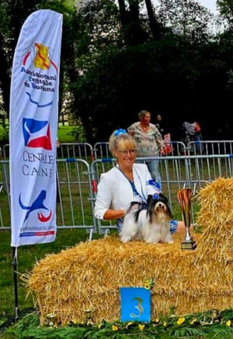 CH. bella helvetica Diamante danzante - 1er Excellent. CACS. BOB. BOG 3.