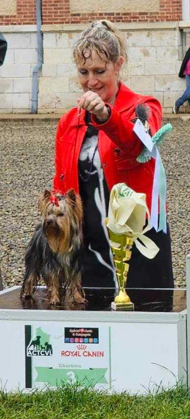 CH. Ultra sexy du Mas des Anges - 1er Excellent , CACS Jeune, Meilleur Jeune, Bog 3 !!!