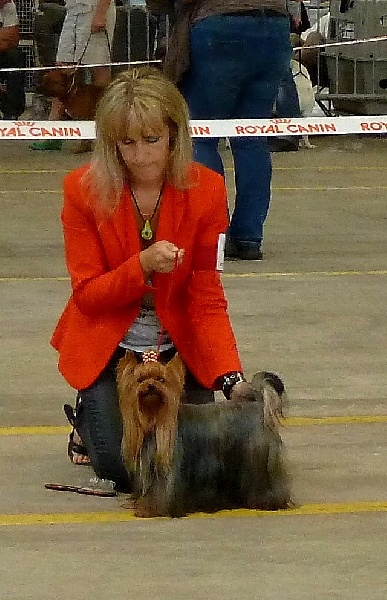 Ginkgo du Mas des Anges - 4ème excellent classe ouverte