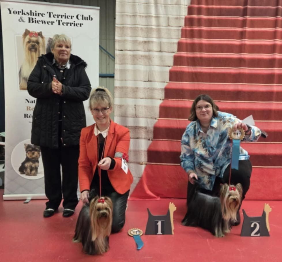 CH. Ultra sexy du Mas des Anges - 1er Excellent ,classe intermédiaire