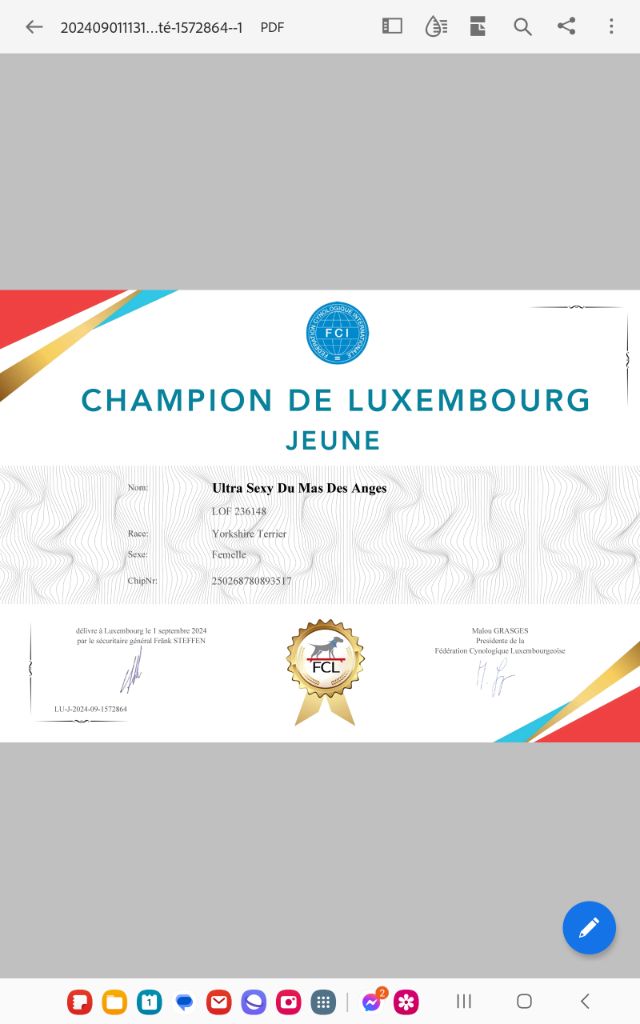 CH. Ultra sexy du Mas des Anges - 1er Excellent, CACIB J,Meilleur Jeune,Champion du Luxembourg Jeune