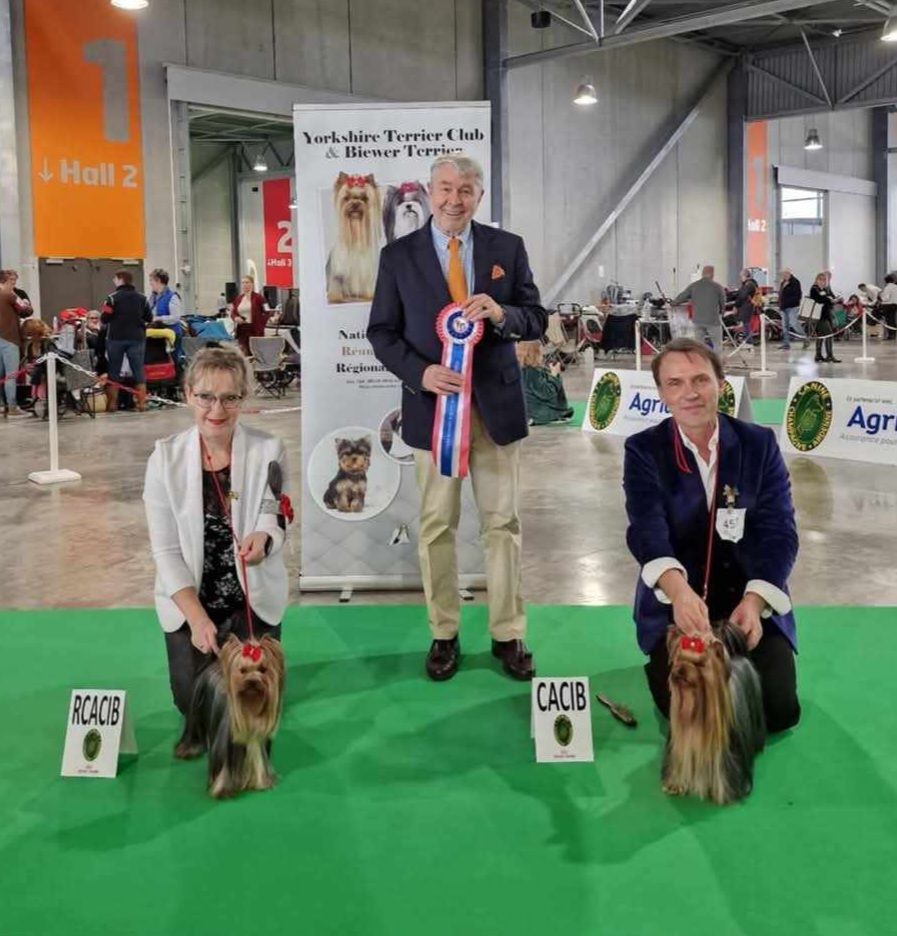 CH. Ultra sexy du Mas des Anges - 1er Excellent, CACS, RCACIB