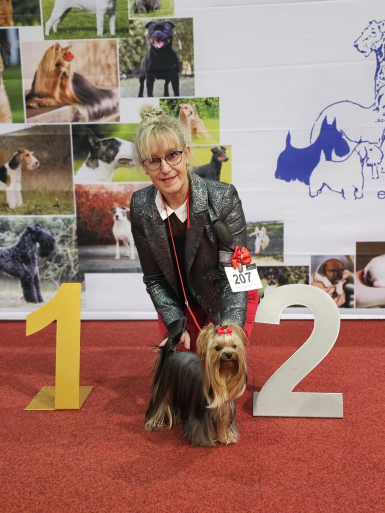 CH. Ultra sexy du Mas des Anges - 2eme Excellent Classe Jeune Femelles