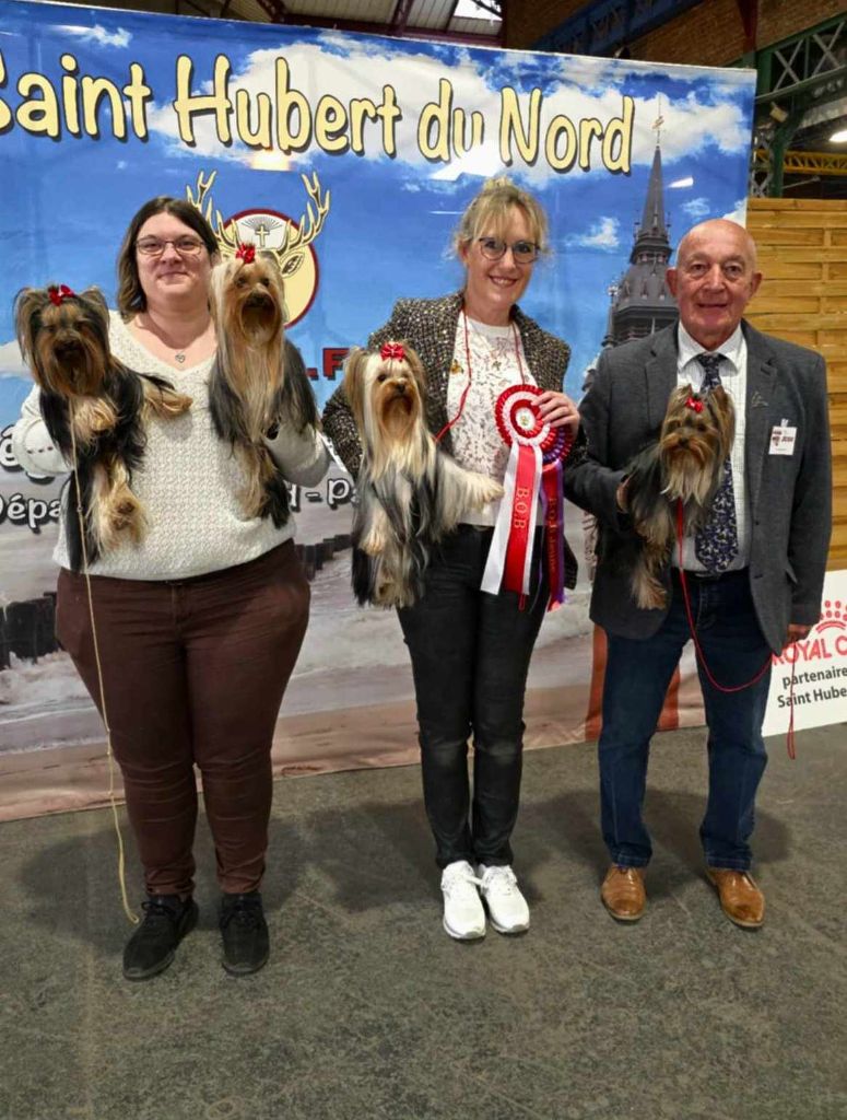 CH. Ultra sexy du Mas des Anges - 1er Excellent ,classe intermédiaire, RCACS