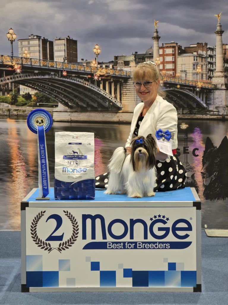 CH. bella helvetica Diamante danzante - 1er Excellent CAC, Best Mâle, Best Of Breed, 2eme BOG 11