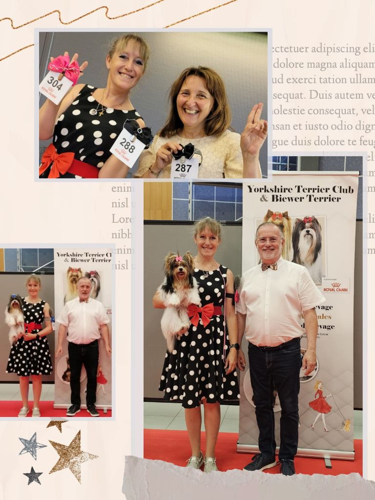 CH. bella helvetica Diamante danzante - 1er Excellent CACS Meilleur De Race