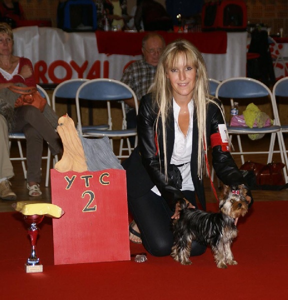 Indochine du Mas des Anges - 2ème très prometteur classe chiot sur 6 chiots