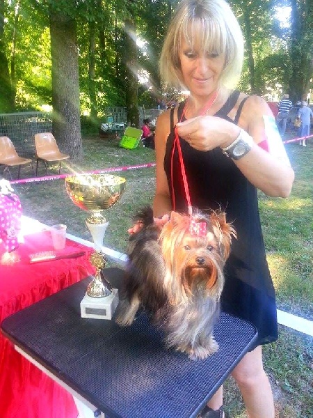 Isis du Mas des Anges - 1er exc,meilleur jeune,MEILLEUR du 3ème groupe