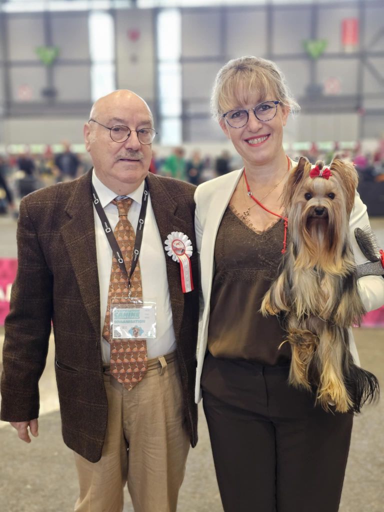 CH. Ultra sexy du Mas des Anges - 1er Excellent CACIB/CAC Jeune, Meilleur Jeune