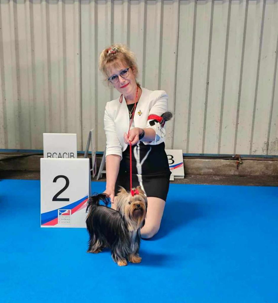 CH. Ultra sexy du Mas des Anges - 2eme Excellent Classe Jeune Femelles