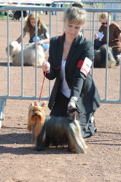 Ginkgo du Mas des Anges - 1er Exc,RCACS !!!!!