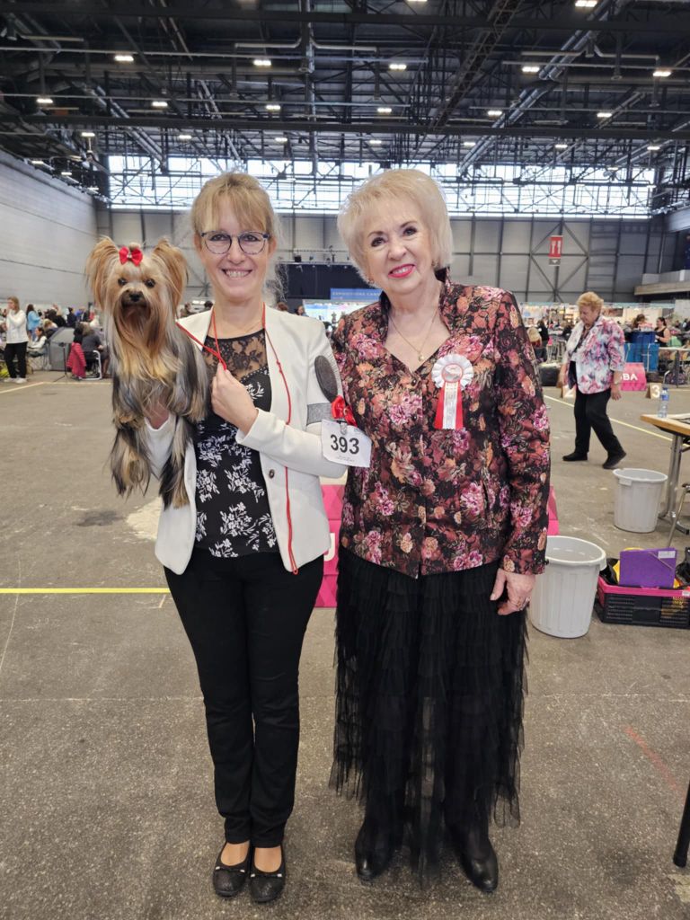 CH. Ultra sexy du Mas des Anges - 1er Excellent , CAC JEUNE, MEILLEUR JEUNE